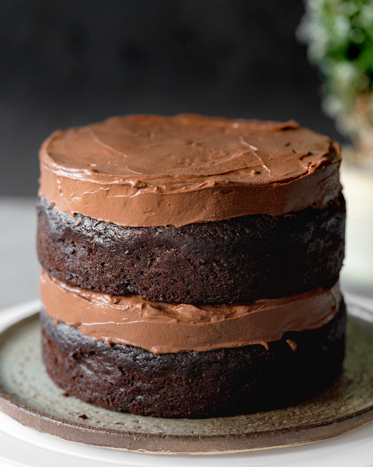 layers of vegan chocolate cake and chocolate cremeux