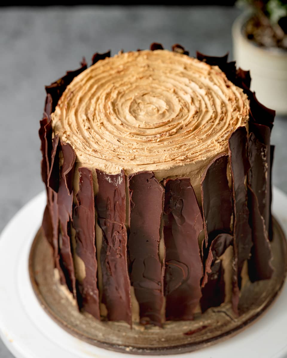 chocolate bark on a tree stump cake.